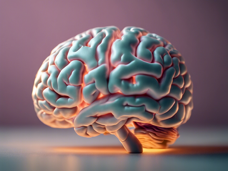 Unlock Your Potential: Women's Neuro-Transformational Therapy Guide