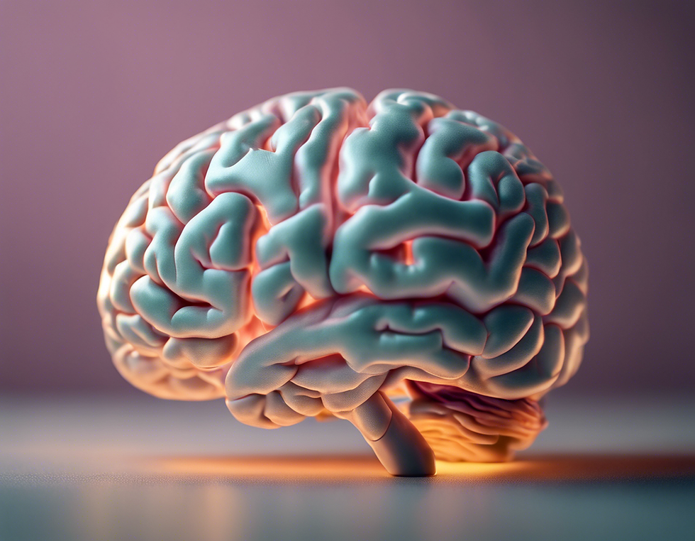 Unlock Your Potential: Women's Neuro-Transformational Therapy Guide