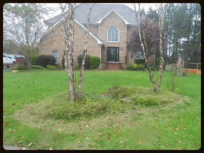 landscaping, landscaper, hampton roads, grass cutting