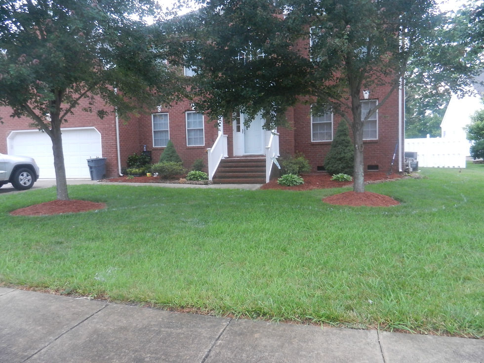 Before - Front