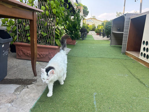 Poggio dei Pini, lavori di riqualificazione della Piazza Maria Carta