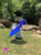 Thumbnail: solid silk praise flags in purple