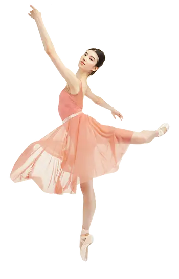 GAYNOR MINDEN Lyra トゥシューズ LSK-7M3FLL 新品 Gaynor Minden Lyra - Sculpted Fit Pink Pointe Shoe | Dance
