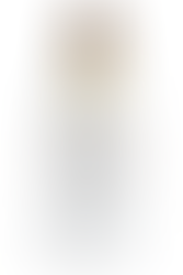 High Neck Praise Dance Overlay