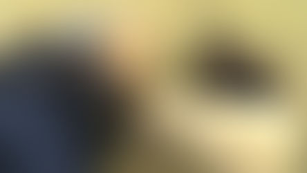 Local Farm Breeds First Purebred Ouessant Sheep in the U.S.