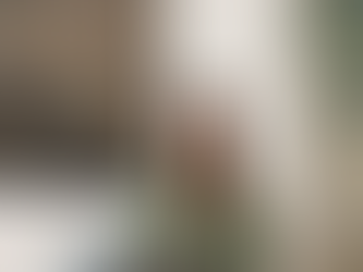 The Flourishing Life with Tina Avila