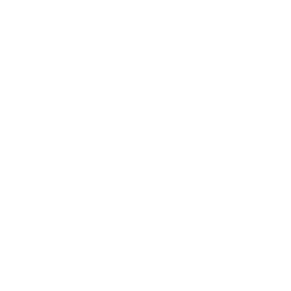 100b.png