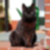 DSC00441.JPG