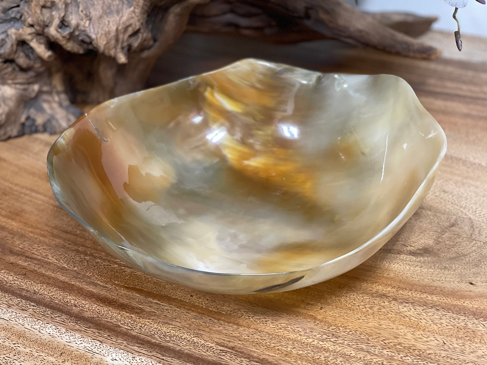 Thumbnail: Buffalo Horn Organic Bowl