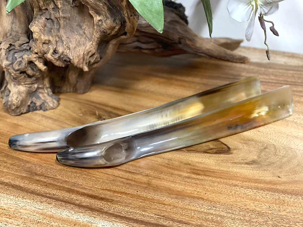 Thumbnail: Buffalo Shoe Horn