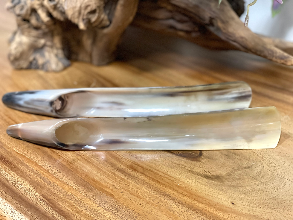 Thumbnail: Buffalo Shoe Horn