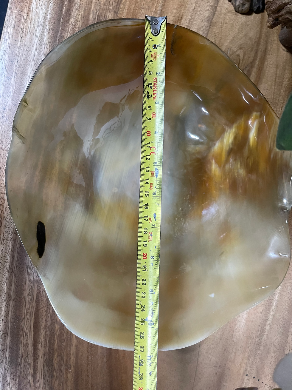 Thumbnail: Buffalo Horn Organic Bowl