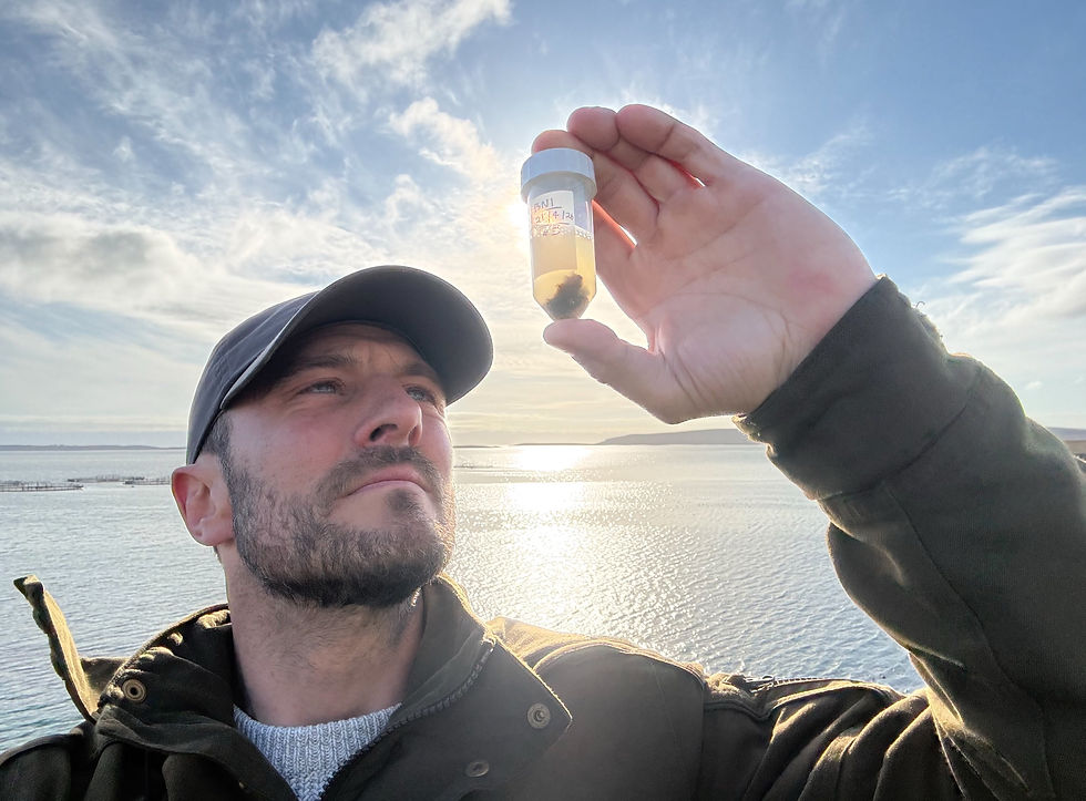 Only the freshest spraint is collected for sampling as otter DNA is difficult to obtain from faecal matter, in part as it quickly degrades with UV exposure. Anal jelly is best, if you can find it!