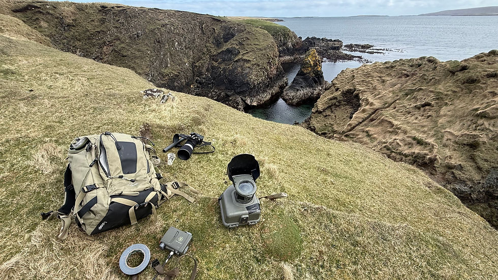 Shetland, otters, wildlife guide James Rogerson.