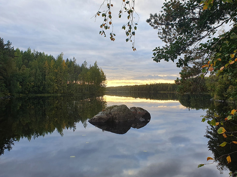 Melkki Spotlight Mikko Saarni