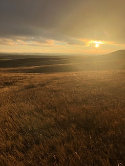 sunset.jpg