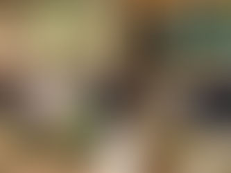 Dr Tovah Lichtenstein presents to RCV