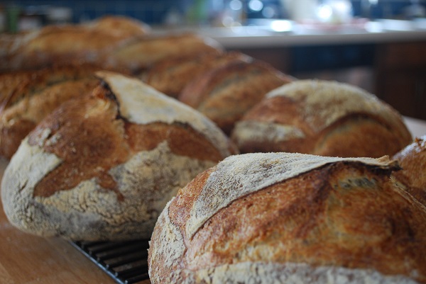 Laramie Levain