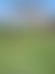 mckenna-mak-whitham-soccer-nike-gotham-youngest-coach-michael