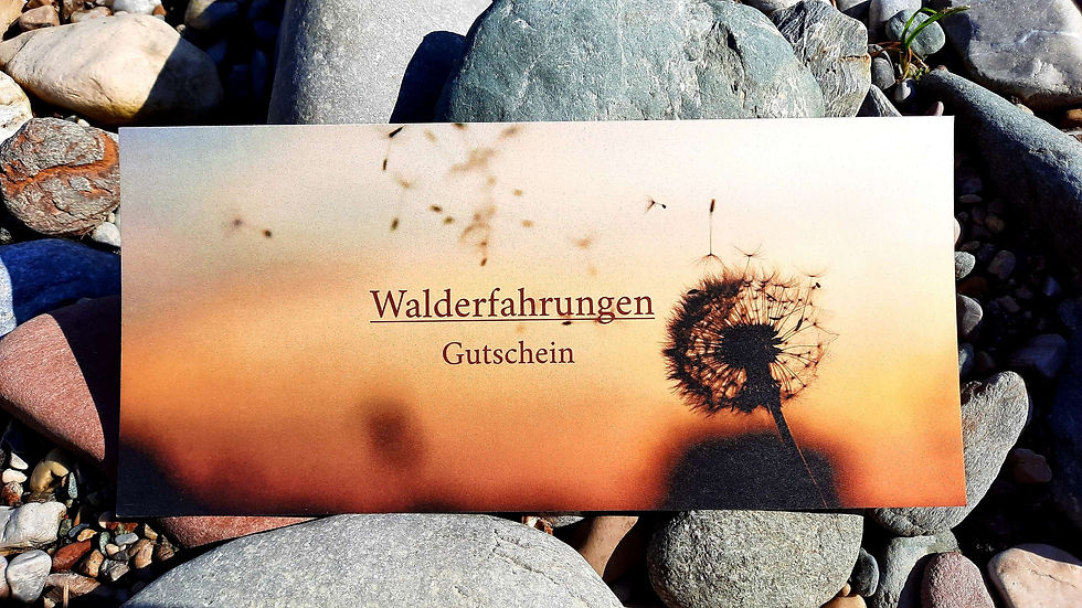 Geschenkgutschein