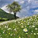 nature-3398301_1280.jpg