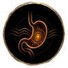 Icon Darm&Verdauung_edited.png