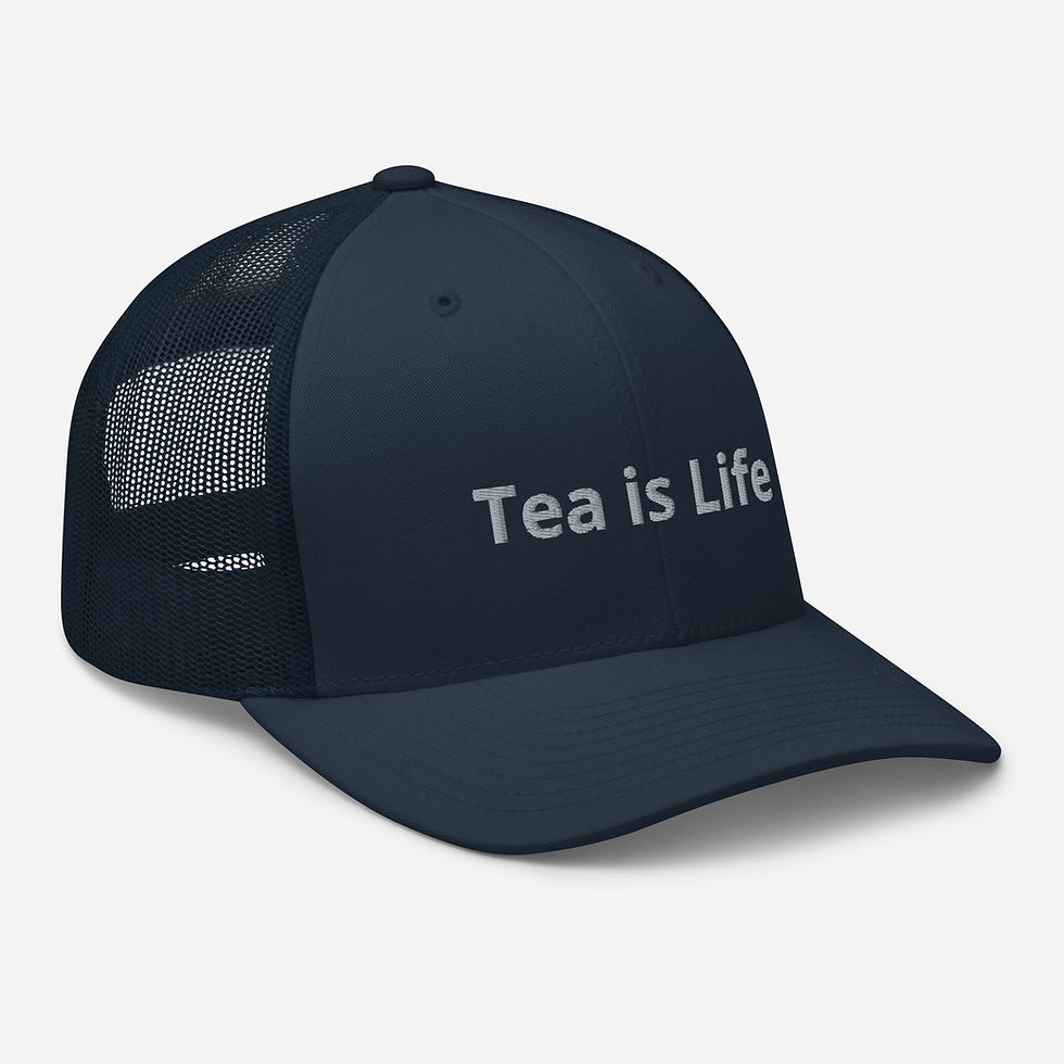 Thumbnail: Adjustable Mesh-Back Cap