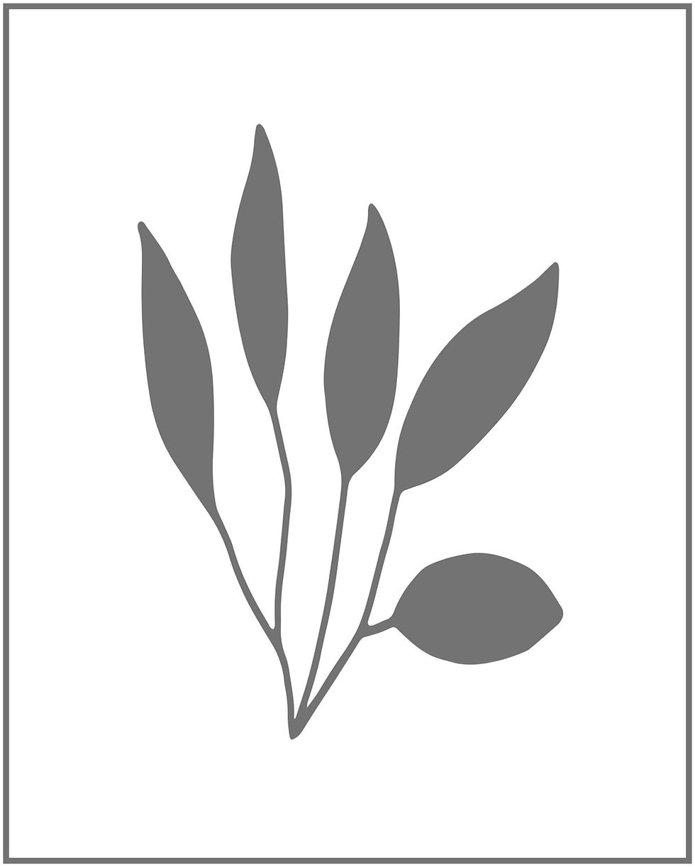 Thumbnail: leafy plant