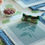 Thumbnail: loop party kit (HTH + loop Judith Roses)