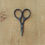 Thumbnail: baby bow scissors