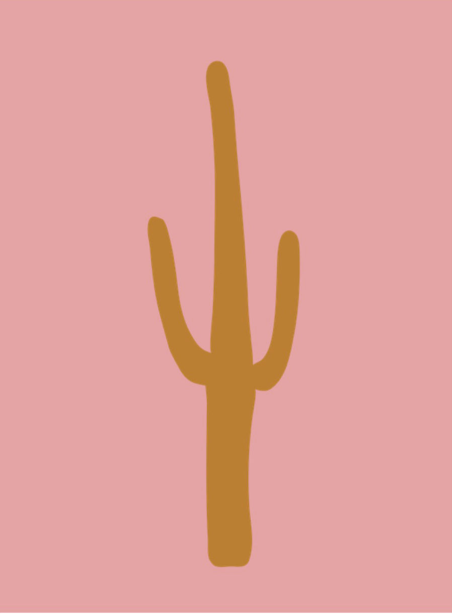 Thumbnail: petit colorado (beginner)