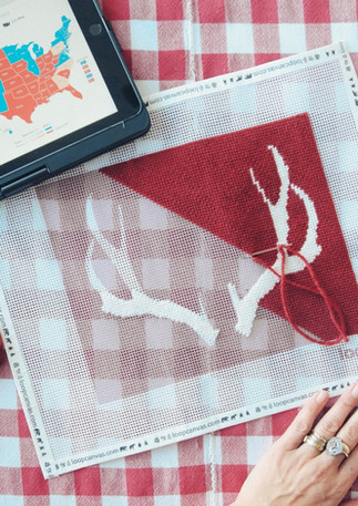Needlepoint Kits For Beginners | Loop Canvas | Frankfort IL