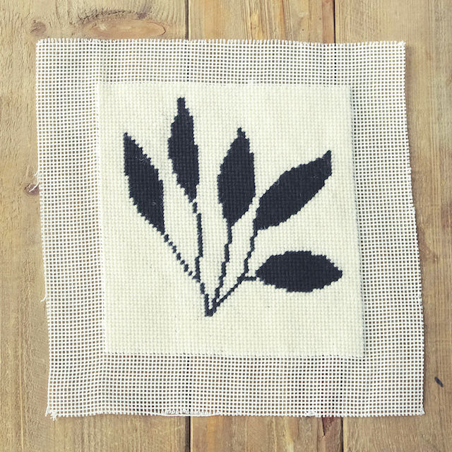 Thumbnail: leafy plant