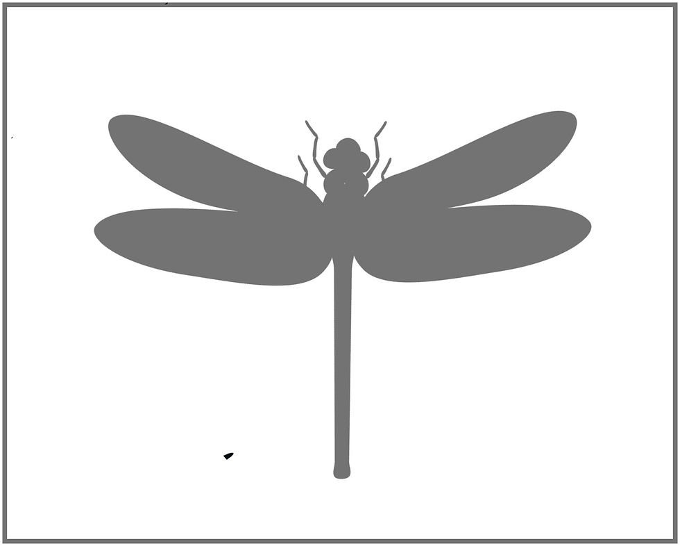 Thumbnail: dragonfly