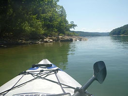 tygart-lake-state-park.jpeg