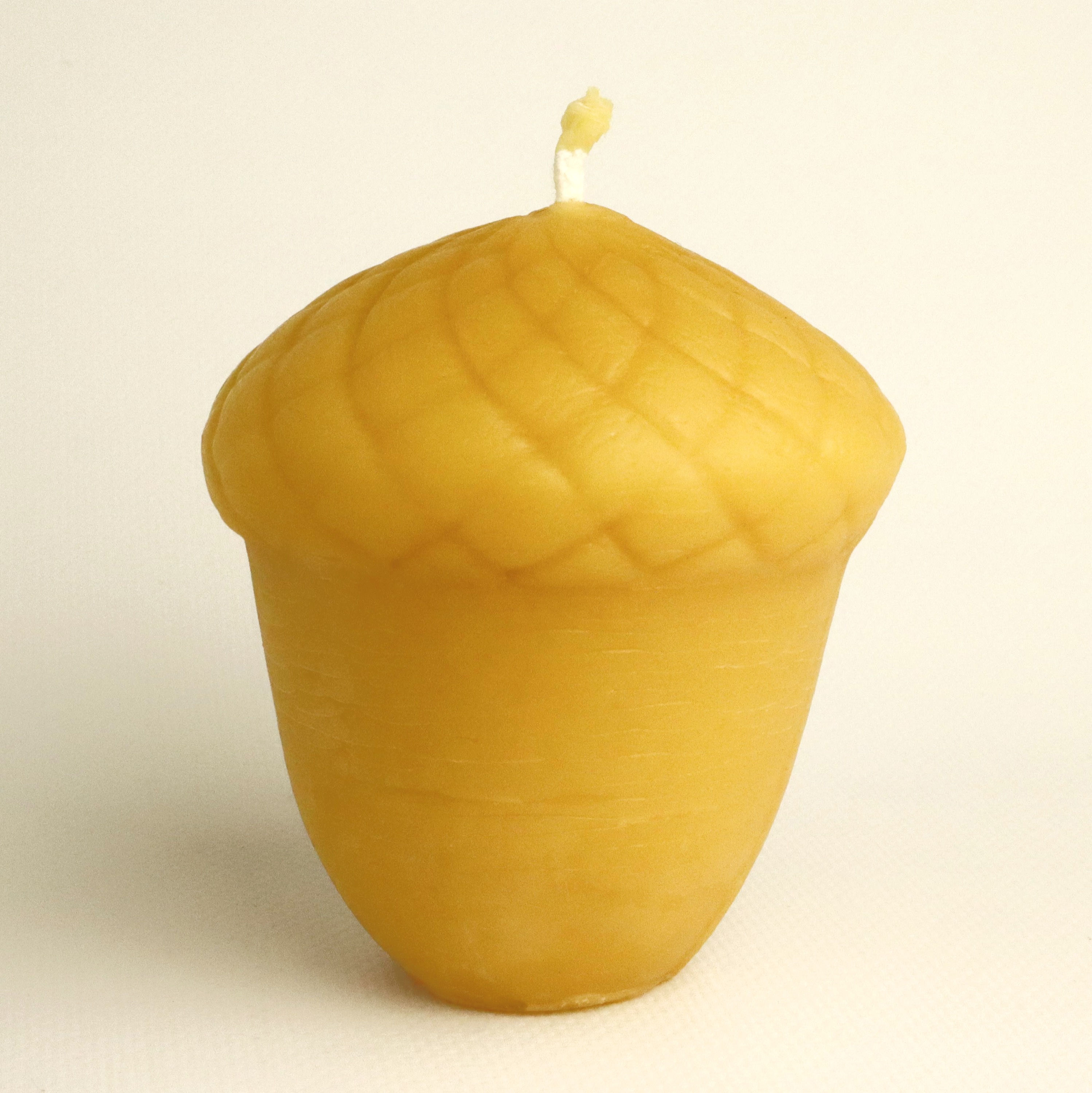 Acorn Candle
