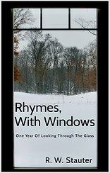 View through the front window onto a yard and forest in winter time.