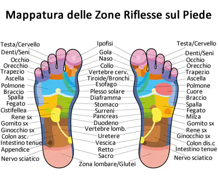 riflessologia-plantare-mappatura-orig.webp