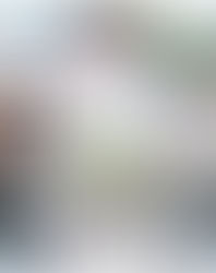 Moving to Tokyo in 2026