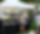 IMG_3168_edited.png