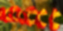 cr=w-776,h-388.jpeg
