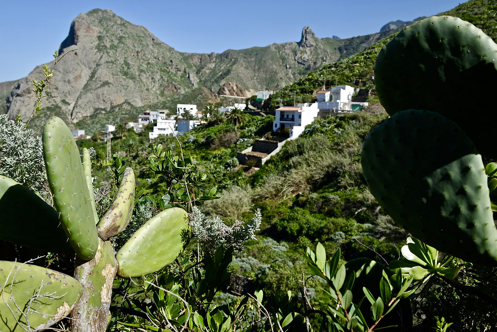 Randonnée Tenerife Anaga Taganana