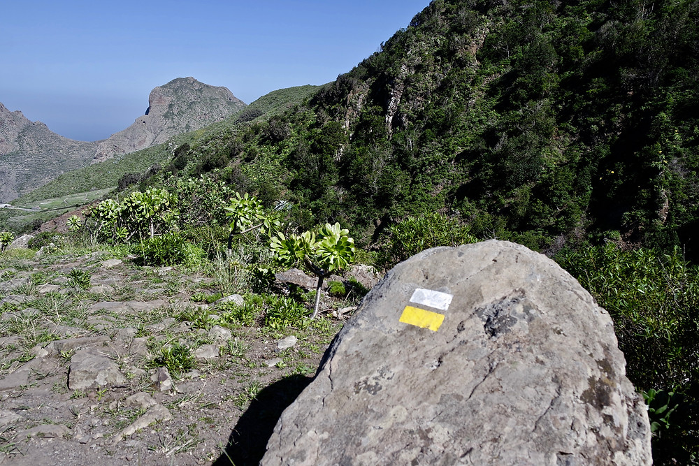 Randonnée Tenerife Anaga Taganana