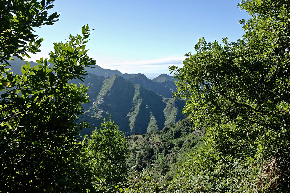 que faire a tenerife