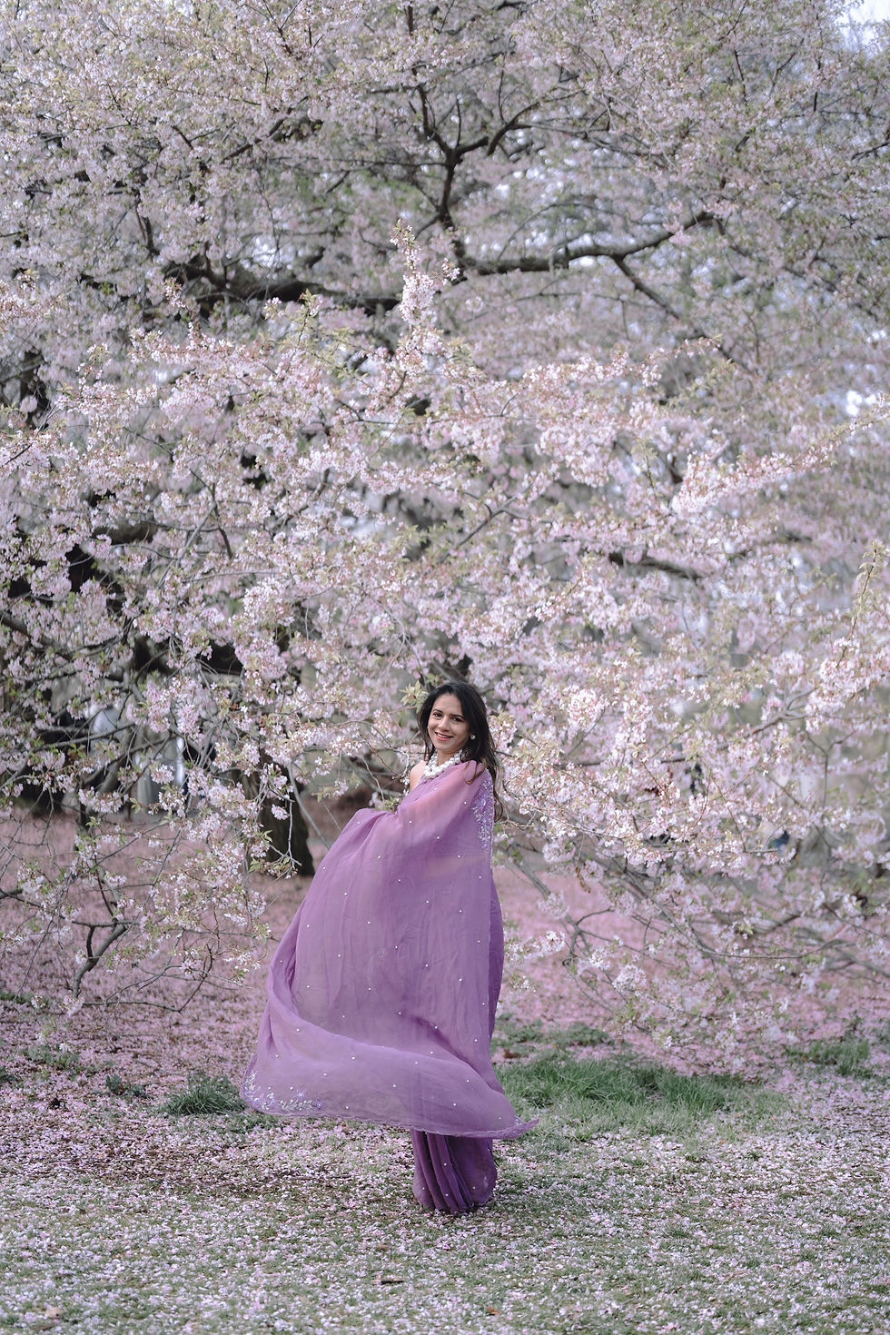 Thumbnail: Lavendula Saree