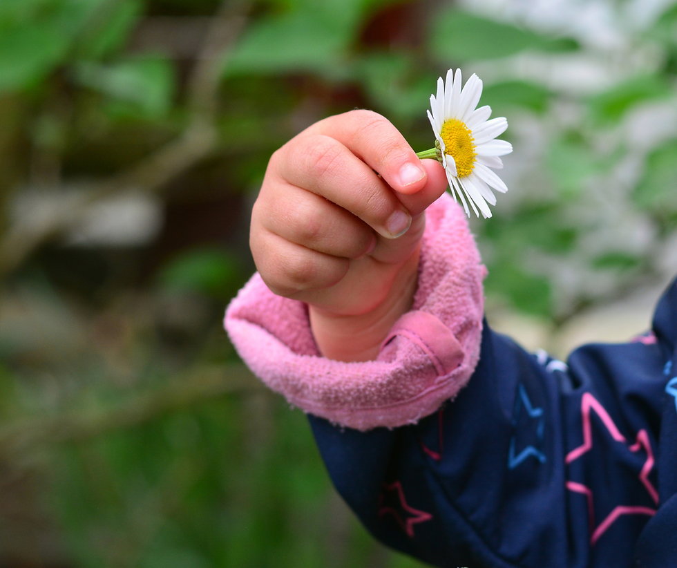Main d’un enfant tenant une marguerite blanche, manche rose, fond vert flou, ambiance douce.