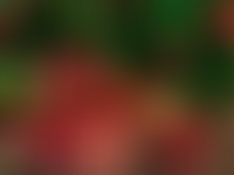 Cadeaux entourés de boules de noël