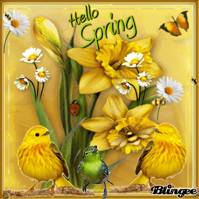 350406-Spring-Nature-Gif.gif