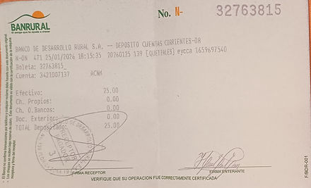 Ejemplo Boleta.jpg