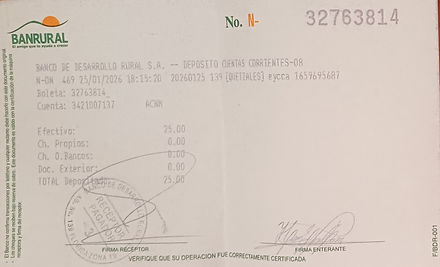 Ejemplo Boleta.jpg